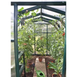 Palram - Canopia Eco Grow Greenhouse 6X12 Green -Westland Shop 12806863 2164833196956288