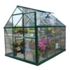 Palram 6 X 8ft Canopia Harmony Greenhouse - Green -Westland Shop 12810587 3174831948883121
