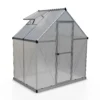 Palram 6 X 4ft Canopia Mythos Greenhouse - Silver -Westland Shop 12810598 8094856744797338