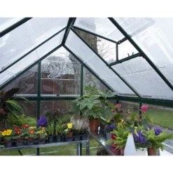 Palram 6 X 10ft Canopia Harmony Greenhouse - Green -Westland Shop 12810721 3524832988301431
