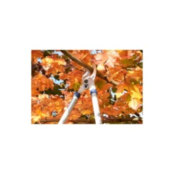 Spear & Jackson Razorsharp Tele Bypass Lopper -Westland Shop 12810811 1464833196929633