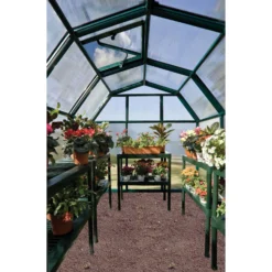 Palram 6 X 6ft Canopia Eco Grow Greenhouse - Green -Westland Shop 12810863 1944833197156811