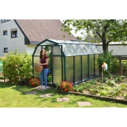 Palram 6 X 10ft Canopia Eco Grow Greenhouse - Green -Westland Shop 12810957 3944833194707002