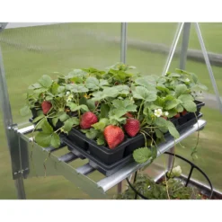 Palram Canopia Heavy Duty Shelf Kit -Westland Shop 12810967 1044833195030729