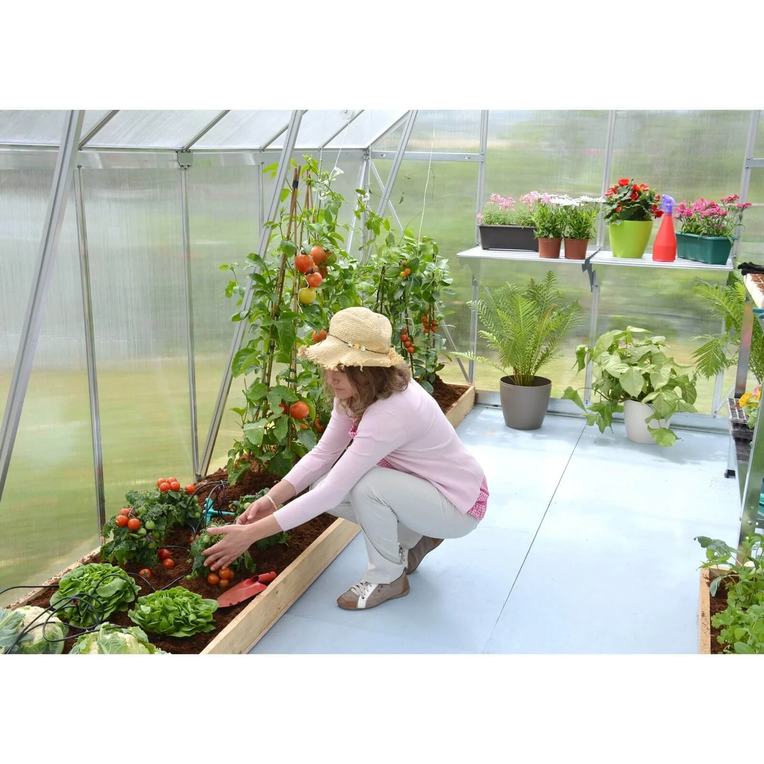 Palram 8 X 12ft Canopia Essence Greenhouse - Silver 8 Palram 8 X 12ft Canopia Essence Greenhouse - Silver - Image 6