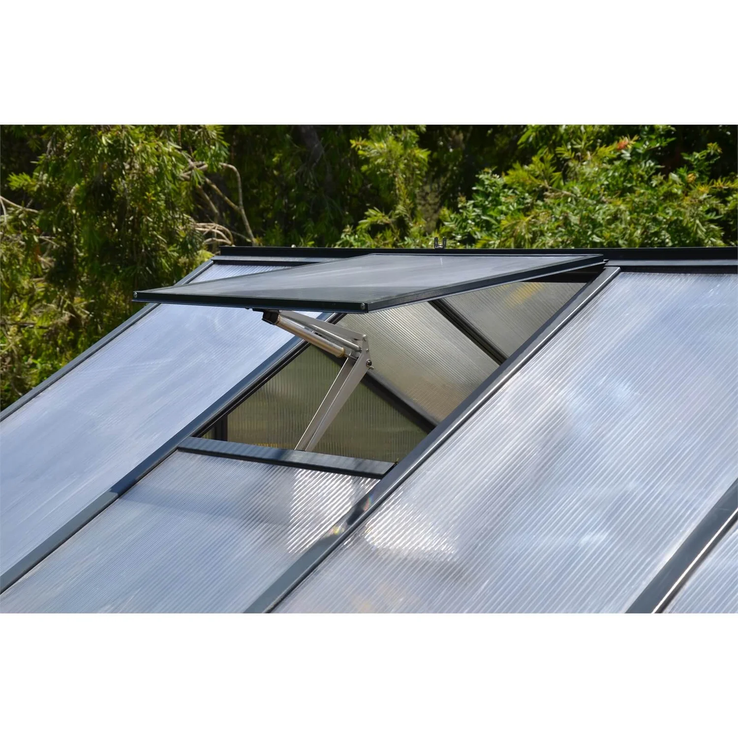 Palram 8 X 16ft Canopia Glory Greenhouse - Grey 6 Palram 8 X 16ft Canopia Glory Greenhouse - Grey - Image 4