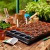 Seed And Cutting Tray - 40 Pots -Westland Shop 12813210 1315062013369640