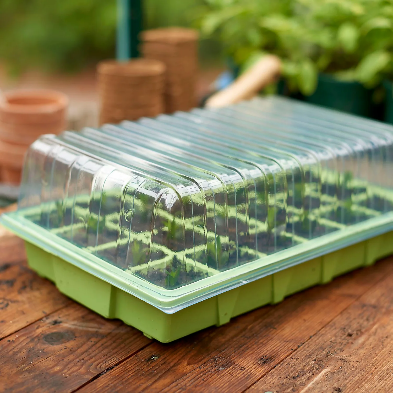 Propagator Set 3 Propagator Set