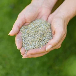 Westland Safe Lawn Natural Lawn Feed - 150m² -Westland Shop 12814336 1595061828066483