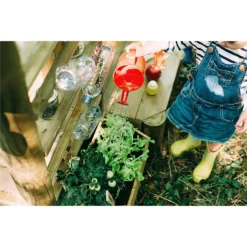 Plum Discovery Mud Pie Kitchen -Westland Shop 12821520 7764957305110193