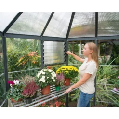 Palram 8ft Canopia Oasis Hexagonal Greenhouse - Grey -Westland Shop 12821843 1944895167774419