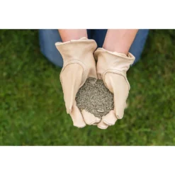 Gro-sure Finest Lawn Seed 100m² -Westland Shop 12833194 1104925482201344