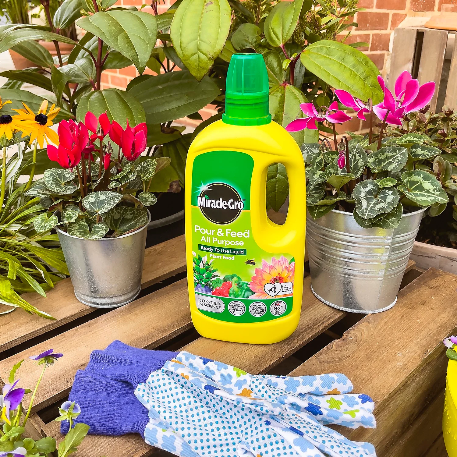 Miracle-Gro Pour & Feed Ready To Use Plant Food - 1L 4 Miracle-Gro Pour & Feed Ready To Use Plant Food - 1L - Image 2