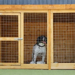 Mercia 10 X 4 Dog Kennel & Run -Westland Shop 12883214 1614849535037567