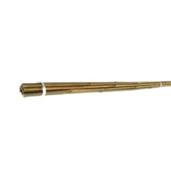 10 Pack Bamboo Canes - 1.8m/6ft -Westland Shop 12885360 8994843288850358