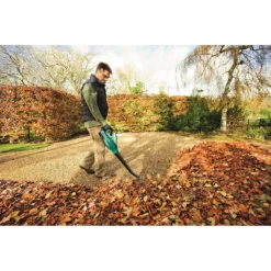Bosch ALB 18 Li Cordless Garden Blower -Westland Shop 12885389 8914843941828771