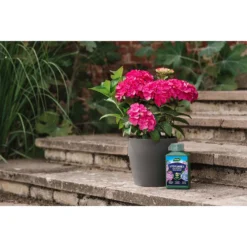 Westland Hydrangea Feed - 1l -Westland Shop 12886486 5014971590603901