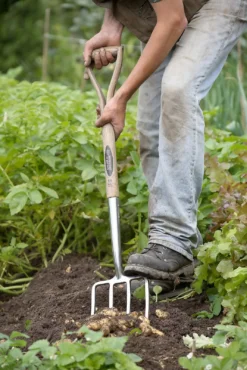Spear & Jackson Traditional Stainless Digging Fork -Westland Shop 12904675 1274851072244143