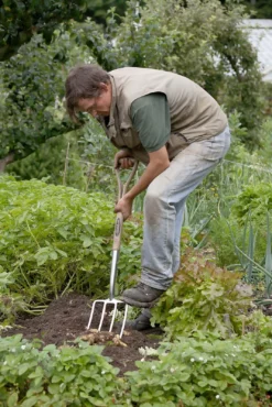 Spear & Jackson Traditional Stainless Digging Fork -Westland Shop 12904675 2754851072222033
