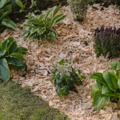 Westland Rustic Wood Chips - 60L -Westland Shop 13280769 1564929084866478