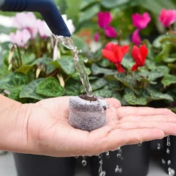 Coco & Coir Seed Germination Dots - 40mm 9 Coco & Coir Seed Germination Dots - 40mm -Westland Shop 13487129 3894919981363337