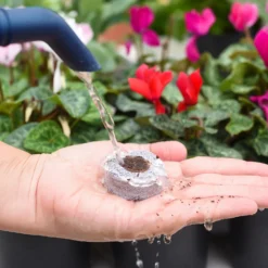 Coco & Coir Seed Germination Dots - 40mm 10 Coco & Coir Seed Germination Dots - 40mm -Westland Shop 13487129 7814919981385408