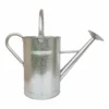 Galvanized Watering Can - 9L -Westland Shop 13976731 1484993048165425