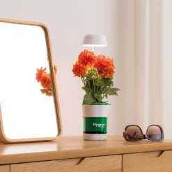 JML HygroPod - LED Grow Light & Self-Watering Plant Pot 7 JML HygroPod - LED Grow Light & Self-Watering Plant Pot -Westland Shop 14005848 1565000841266625