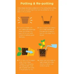 Westland Citrus Potting Mix Peat Free 8L -Westland Shop 14013785 1645003754507372
