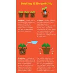Westland Cacti & Succulent Potting Mix Peat Free 4L -Westland Shop 14013786 1245003754031248
