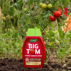 Westland Big Tom Super Tomato Food -Westland Shop 14013789 1265003754036822